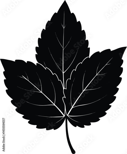 lemon balm leaf silhouette vector on white 