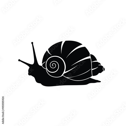 snail silhouette vector, Sea snail vector illustration