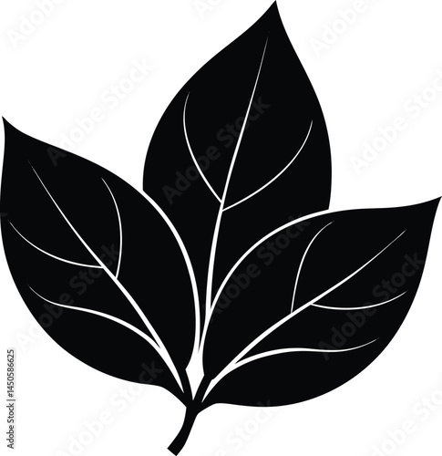 magnolia leaf silhouette vector on white 