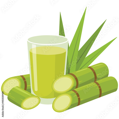 Sugarcane products syrup and sprouts isolated vector illustration on white background