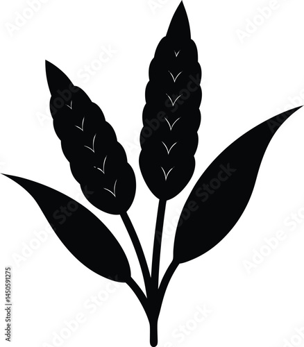 millet grain silhouette vector on white background.eps