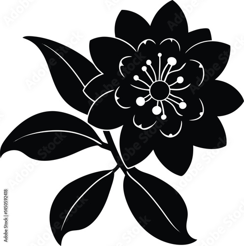 mountain laurel flower silhouette vector on white  