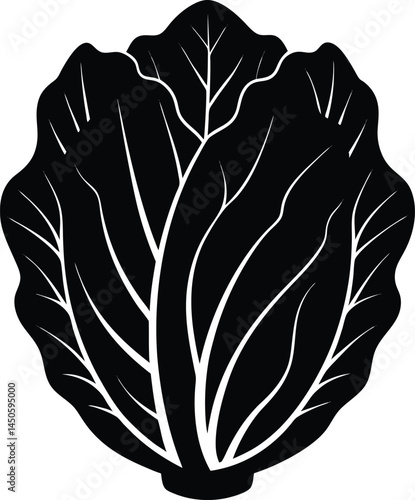 napa cabbage silhouette vector on white background 