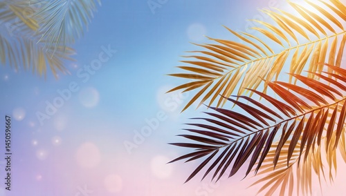 Sunlit palm leaves against a serene sky at sunset.