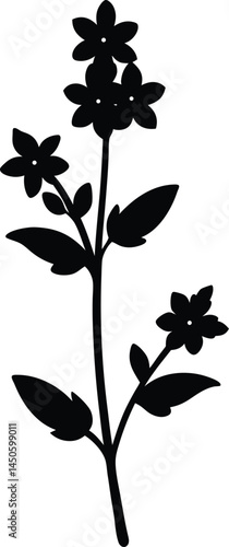 narrowleaf vervain flower silhouette vector 