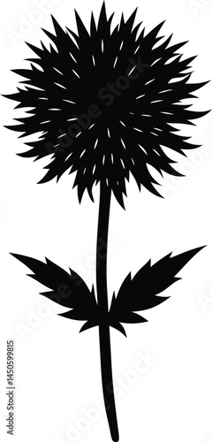nodding bur marigold silhouette vector on white 