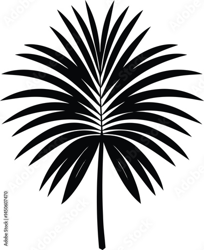 palm frond silhouette vector on white background 