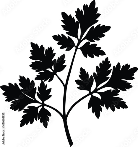 parsley sprig silhouette vector on white 