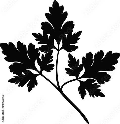 parsley sprig silhouette vector on white 