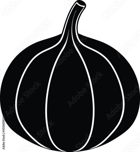pattypan squash silhouette vector on white  