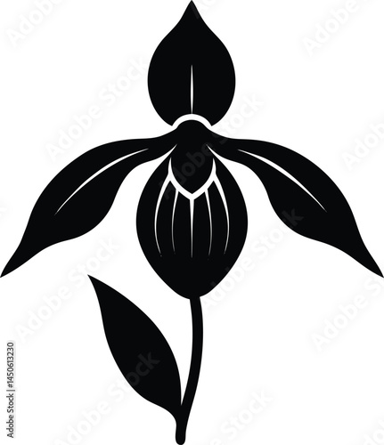 pink lady s slipper flower silhouette vector 