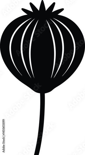 poppy seed pod silhouette vector on white 