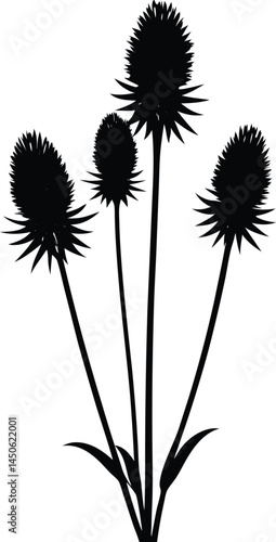purple prairie clover silhouette vector on white