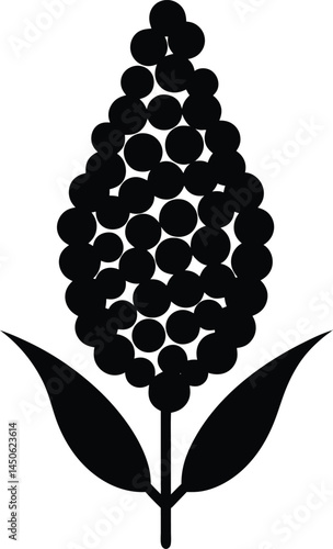 quinoa seed cluster silhouette vector on white 