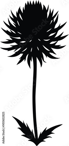 rattlesnake master flower silhouette vector 