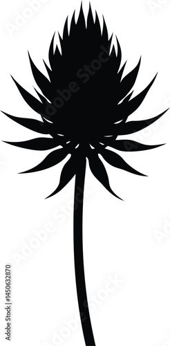 rattlesnake master flower silhouette vector 