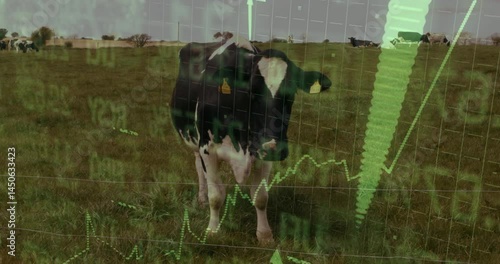 Holstein cow being visualized in pasture, with flat design analytics arrow graphs rising around