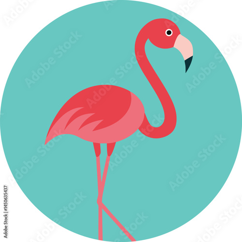 pink flamingo vector illustration