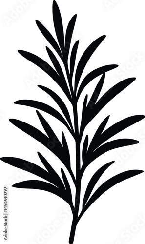 rosemary sprig silhouette vector on white 