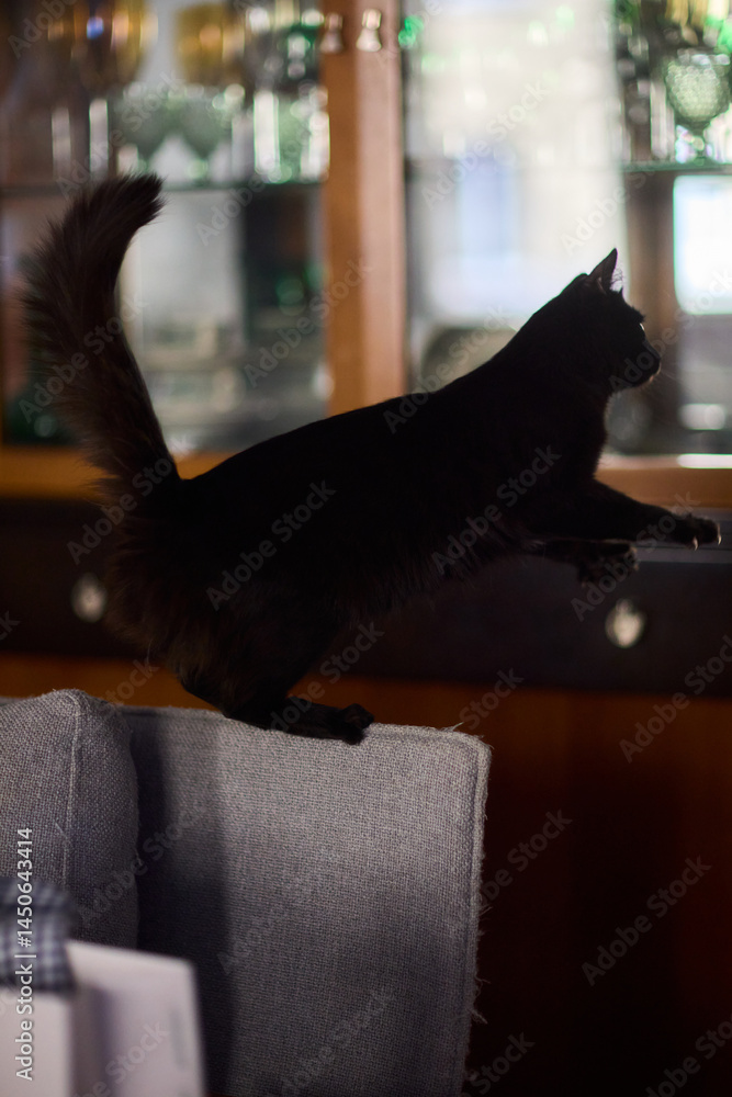A curious and adorable black cat is exploring a cozy gift bag filled with surprises