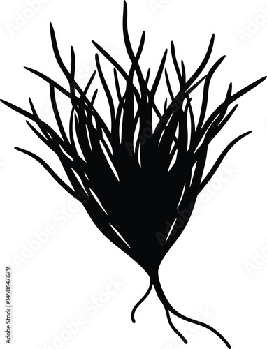 saffron threads silhouette vector on white 