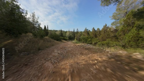 FPV drone flight in summer forest. Central District, Israel