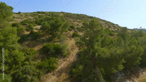 FPV drone flight over green hill. Summer landscapes of Israel.