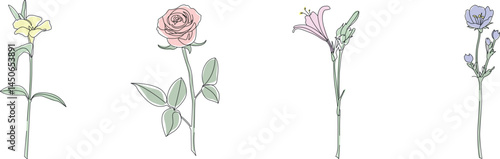 Vector illustration in one line style, on a transparent background. Flowers, rose, lily, iris.