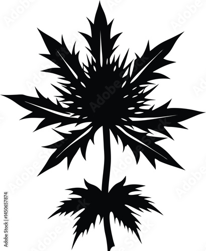 sea holly silhouette vector on white background 