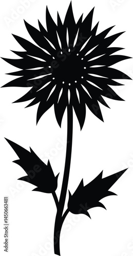 Wall Mural spotted knapweed silhouette vector on white
