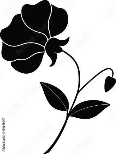 sweet pea flower silhouette vector on white 