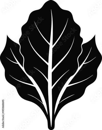 swiss chard leaf silhouette vector on white 