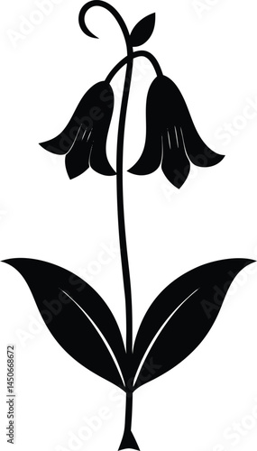 tall bellflower silhouette vector on white 