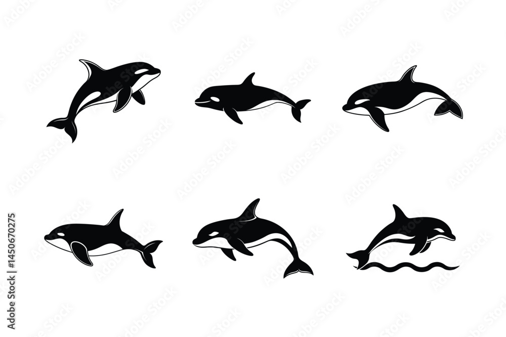 Obraz premium Orca whale silhouette vector bundle, Orca whale silhouette