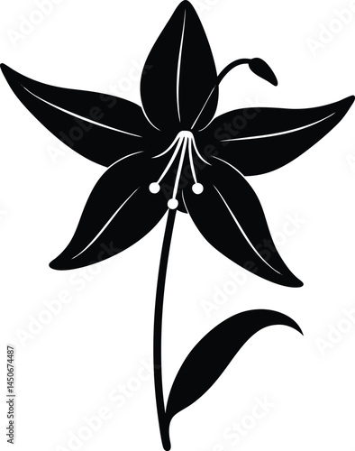 trout lily flower silhouette vector on white 