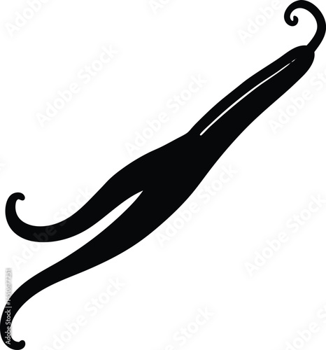 vanilla bean silhouette vector on white background 