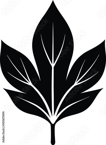water spinach leaf silhouette vector on white 