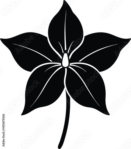 white trillium flower silhouette vector on white