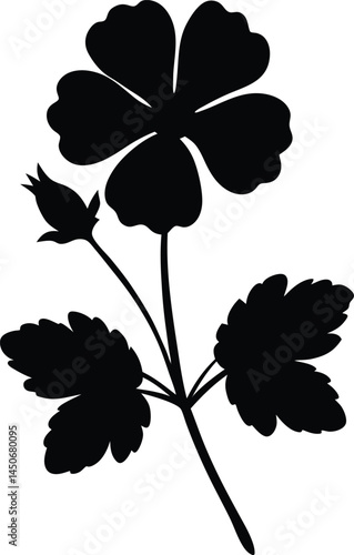 wild geranium flower silhouette vector on white 