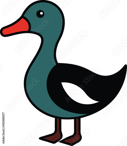 gadwall vector art illustration