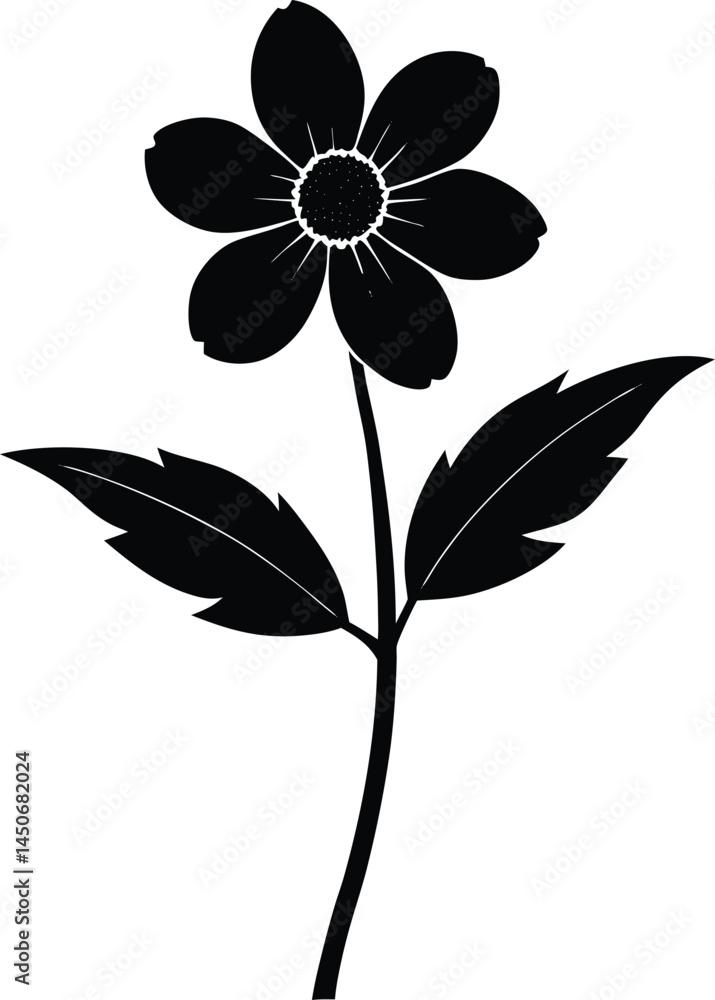 wood anemone stem silhouette vector on white wood anemone stem silhouette vector on white