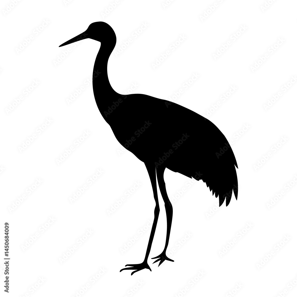 Obraz premium crane bird silhouette image