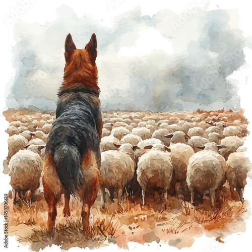 illustration of Farm Dog Herding Sheep, watercolor vector, isolated on a white background.