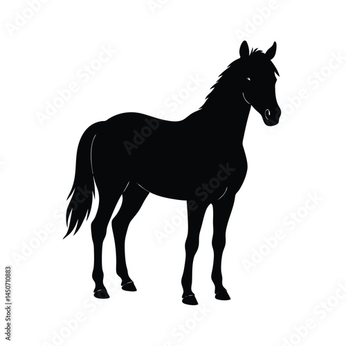 horse from front facing line art silhouette 