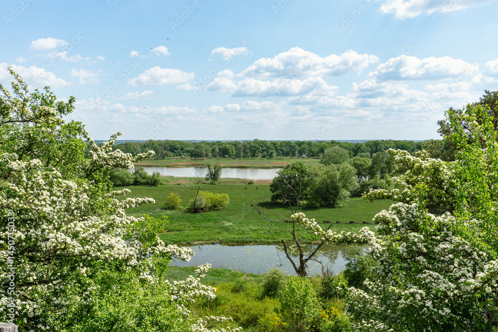 Fototapeta premium Wandern im idyllischen Oderbruch in Brandenburg, Deutschland im Frühling