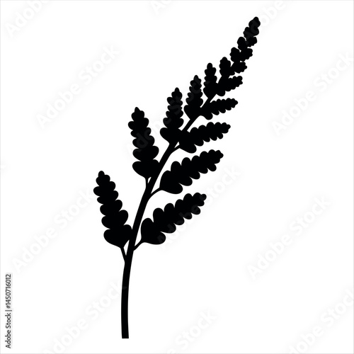 Silhouette of a fern frond providing a striking botanical representation in black and white