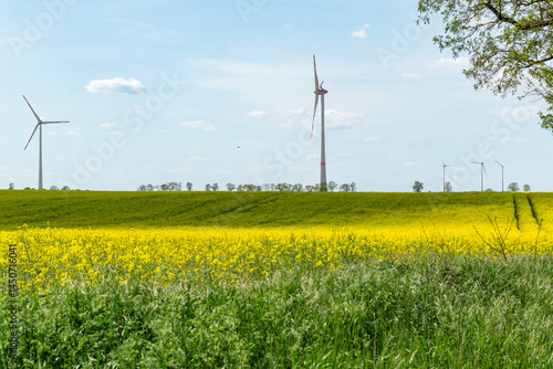 Windkraftanlagen in Brandenburg, Deutschland, idyllische Ansicht, Rapsfeld