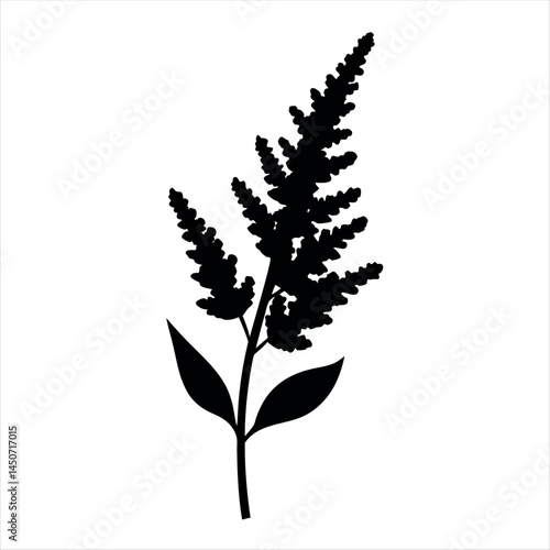 Black silhouette of a plant with long leaves and seed bunches