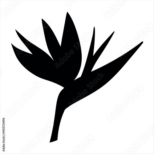 Monochrome illustration of a Bird of Paradise flower with a bold design