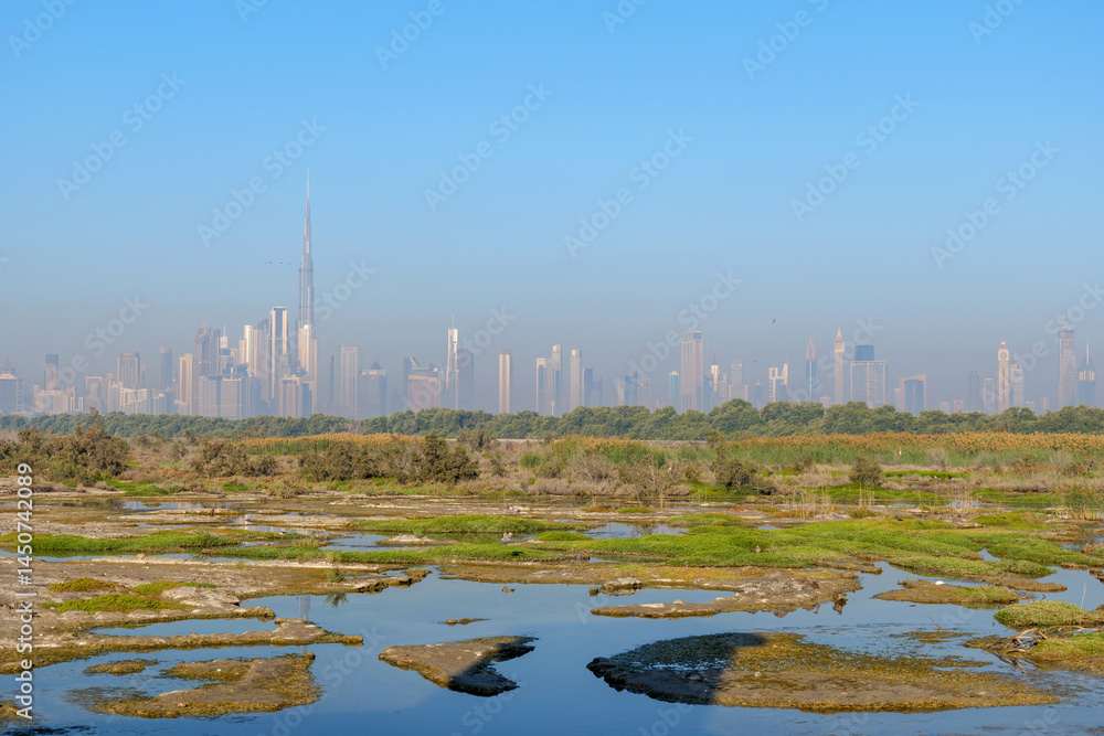 Naklejka premium panorama view of Dubai skyline from Ras Al Khor, where urban architecture meets nature. Dubai iconic skyscrapers, including Burj Khalifa, contrast with the peaceful wetlands of Dubai